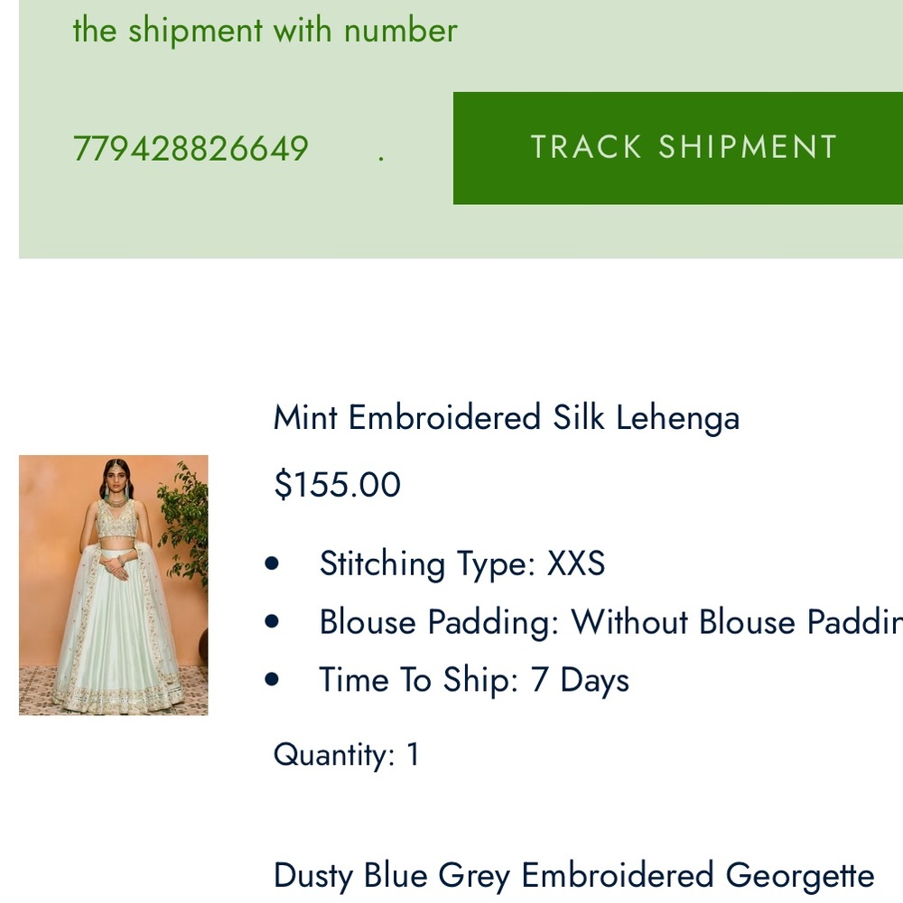 Elegant Mint Green Embroidered Lehenga - Picture 3 of 9